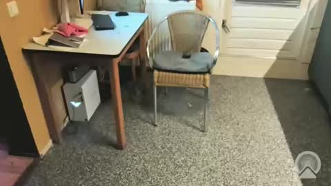 Snapshot of oldersagger chatting on December 4, 5:43 pm oldersagger online show from December 4, 5:43 pm