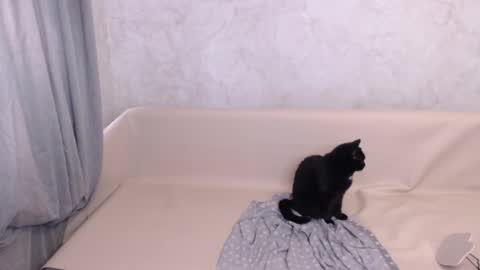 Olivia online show from October 5, 11:41 am