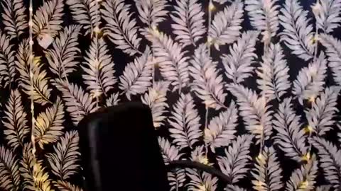 Kelly online show from January 6, 12:13 pm