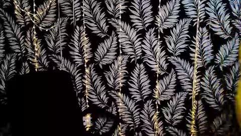 Kelly online show from November 29, 3:59 pm