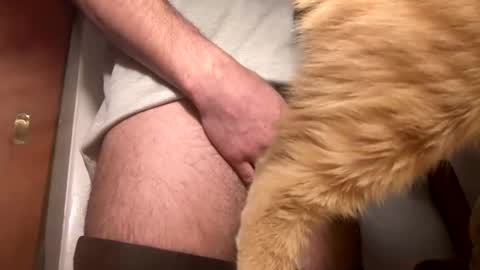 onedayonedollar online show from February 25, 12:34 pm