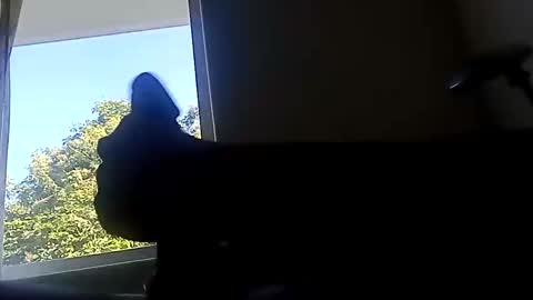 Snapshot of ootripoo chatting on September 19, 6:52 pm ootripoo online show from September 19, 6:52 pm