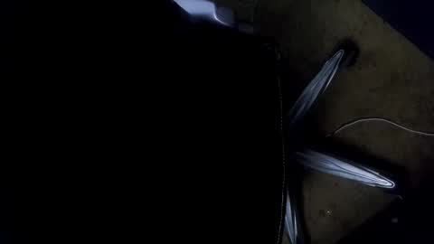 orgasmgiver9090 online show from November 7, 7:36 pm