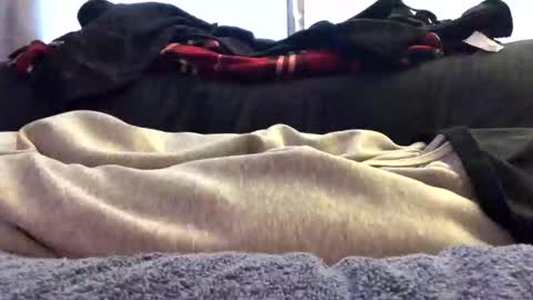 orgazim online show from November 15, 5:20 pm