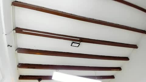 Miss Guzman  online show from February 4, 8:49 pm