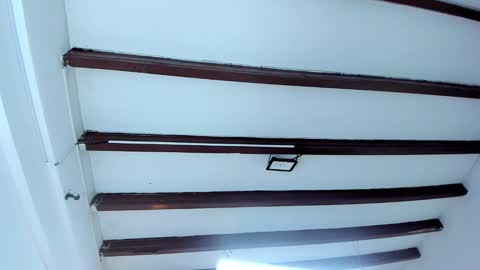 Miss Guzman  online show from February 9, 2:28 am