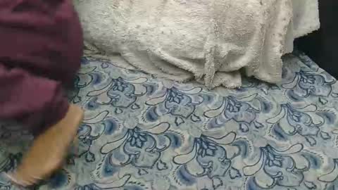 originalcali95 online show from February 14, 8:27 pm