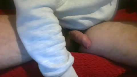 ornytologist online show from December 7, 9:39 am