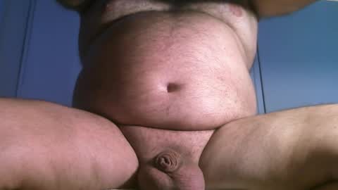 Oso Licencioso online show from March 31, 4:40 pm