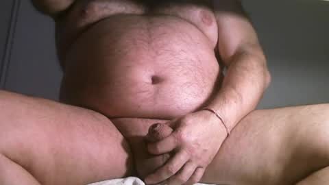 Oso Licencioso online show from April 7, 5:57 pm