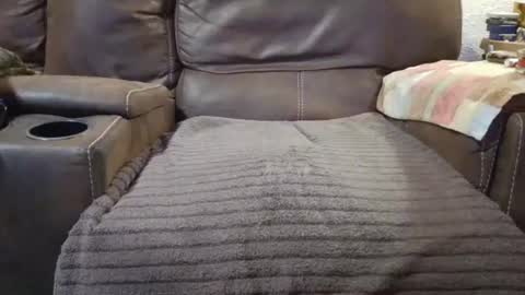 outdoorsmanmark71 online show from September 10, 9:59 pm