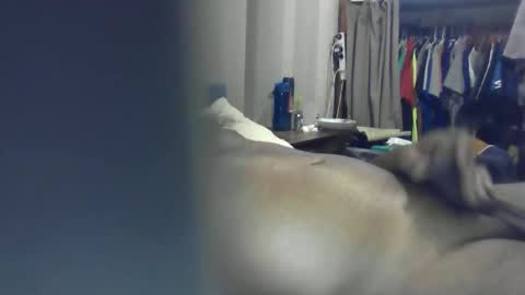 Snapshot of ozchaad chatting on January 13, 1:05 pm ozchaad online show from January 13, 1:05 pm