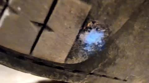 Pablo Meness online show from December 5, 8:49 pm