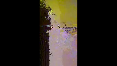 Mr. Pac online show from December 14, 12:54 pm