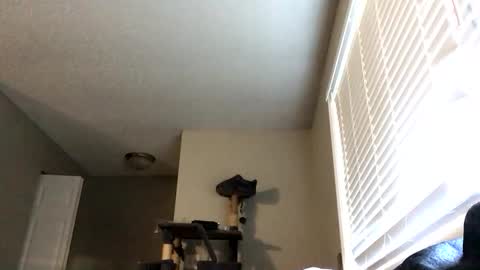 paigechantel online show from February 19, 11:45 pm