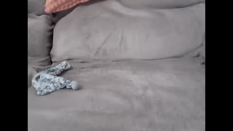 pal online show from February 27, 8:25 am