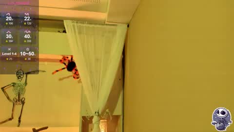  P A M  online show from October 12, 4:11 am