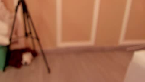 pamelamendez_1 online show from February 27, 4:56 am