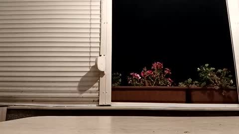 angel hris online show from November 4, 5:34 pm