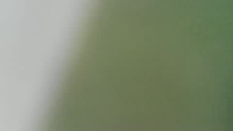 Snapshot of pandemonium696 chatting on February 2, 11:47 pm pandemonium696 online show from February 2, 11:47 pm
