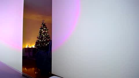 pandora__1 online show from November 5, 2:11 am