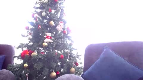 pandora__1 online show from December 17, 5:41 pm