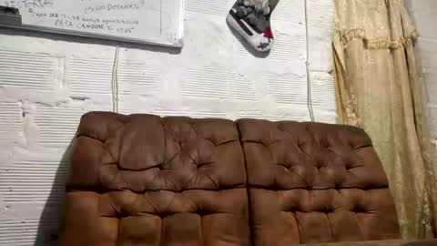 panthers_room online show from December 19, 10:56 am