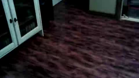 Snapshot of papous41 chatting on May 25, 3:51 pm Ricky online show from May 25, 3:51 pm
