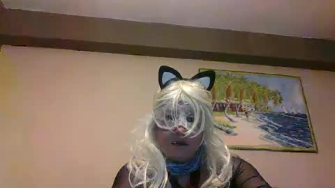 aventuras en pelotas online show from March 12, 7:17 pm