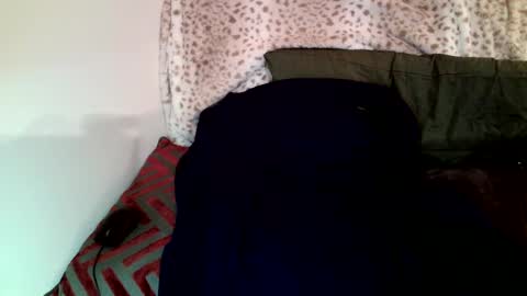 Parlay tellio online show from January 29, 8:25 pm