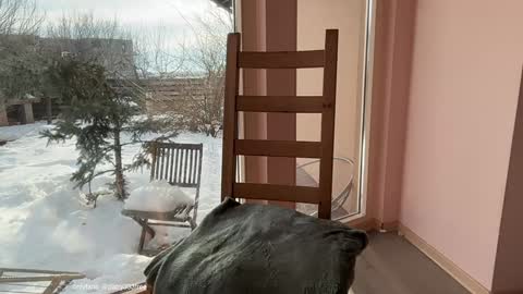 Andreea online show from February 20, 6:37 am