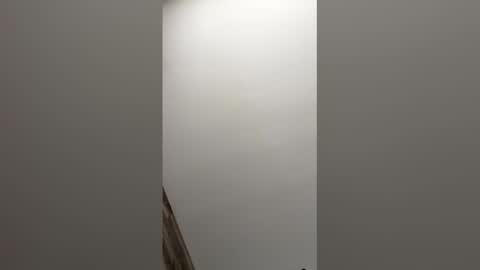 paul856963 online show from March 9, 9:19 pm