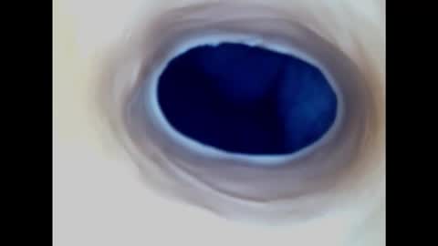 Paula 18 Aninhos online show from March 2, 2:19 am