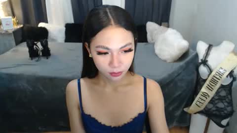 paulalawman online show from January 6, 11:07 pm