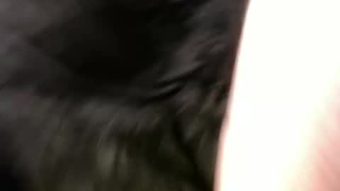 pauly online show from January 1, 11:16 am