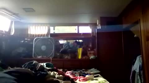 Pavone splash online show from January 9, 8:21 pm