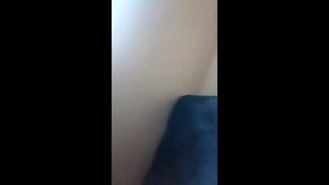 Paw online show from December 21, 9:23 am