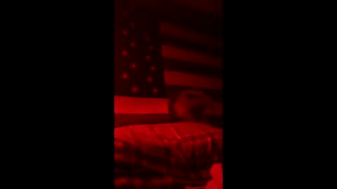 pbtalentscout online show from March 15, 4:40 am