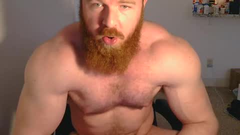 Pec inspector online show from March 12, 9:13 pm