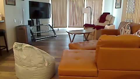 Snapshot of perfecto1957 chatting on December 3, 7:55 pm perfecto1957 online show from December 3, 7:55 pm