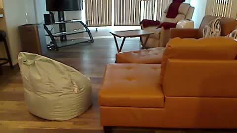 Snapshot of perfecto1957 chatting on December 7, 7:10 pm perfecto1957 online show from December 7, 7:10 pm