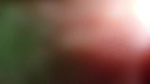 Snapshot of perla_lovely chatting on May 1, 12:54 pm perla_lovely online show from May 1, 12:54 pm