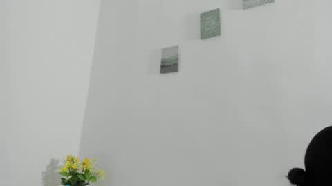 Snapshot of perla_mistc chatting on April 10, 4:44 pm Perla mistc online show from April 10, 4:44 pm