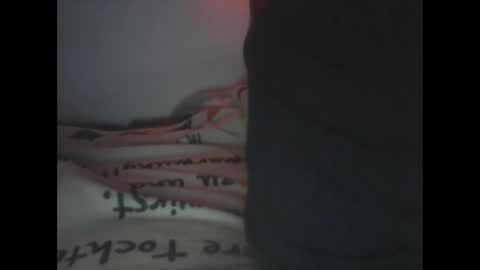 Snapshot of peterscherer620 chatting on February 15, 3:14 am Pitsches online show from February 15, 3:14 am