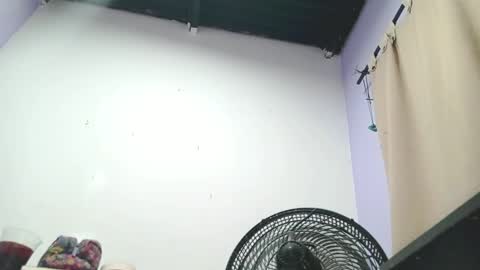 danna online show from January 13, 4:28 am