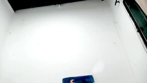 danna online show from November 26, 4:57 am