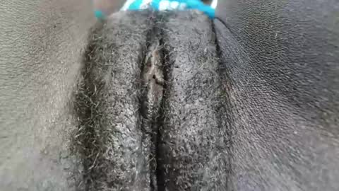 petiteme1 online show from January 18, 2:03 am