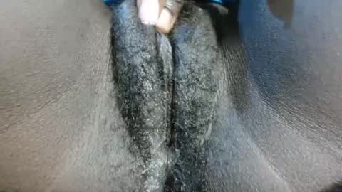 petiteme1 online show from January 21, 8:21 pm