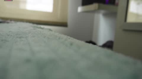 Pettercat online show from January 5, 6:24 pm