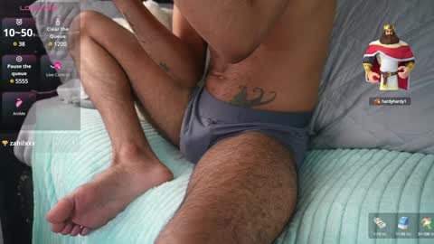 Pettercat online show from February 2, 4:22 pm